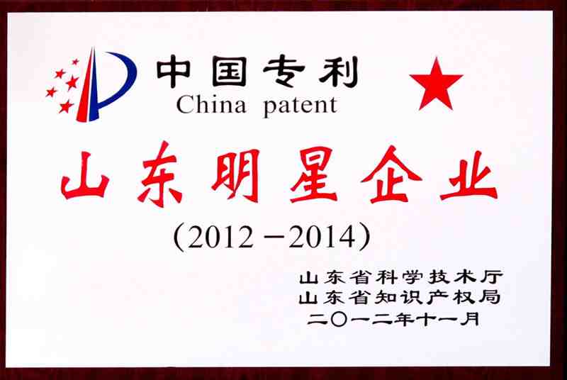 中国专利山东明星企业